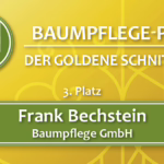 3. Platz des Baumpflegepreises „Goldener Schnitt